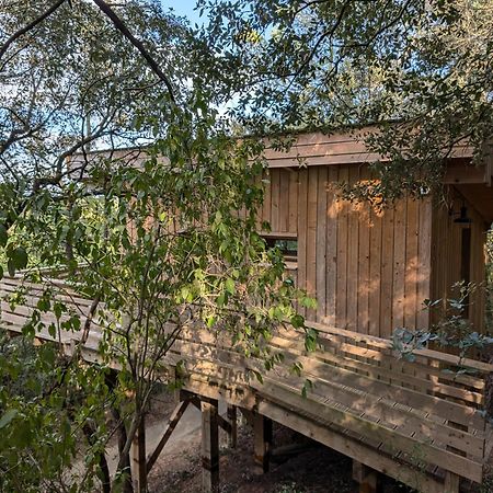Les Cabanes Dans Les Bois Logis Hotel Villedubert 외부 사진