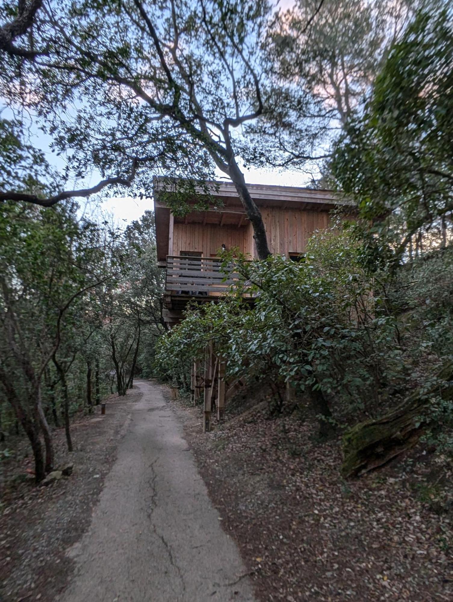 Les Cabanes Dans Les Bois Logis Hotel Villedubert 외부 사진